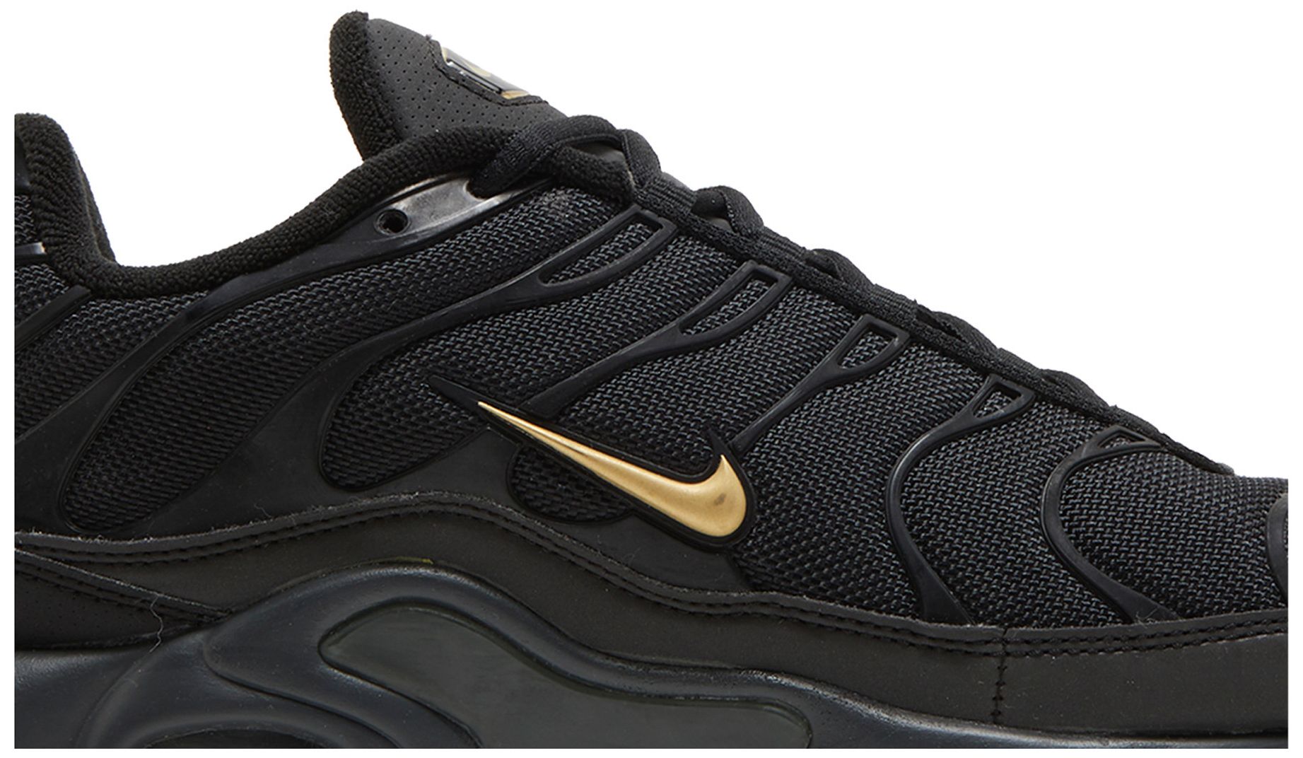 tn gold and black