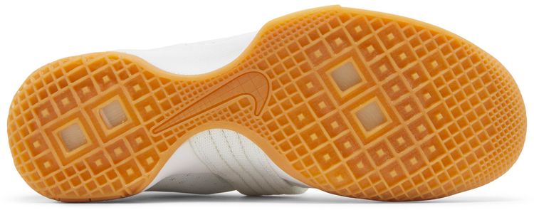 LeBron Soldier 10 SFG White Gum