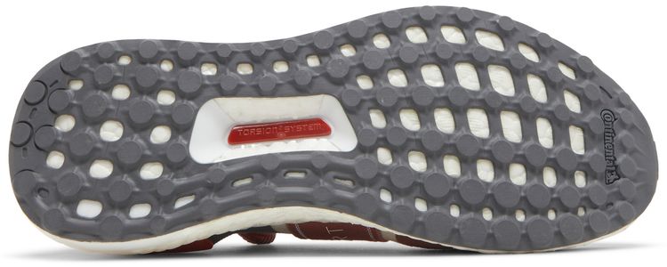 Stella McCartney x adidas Wmns UltraBoost X 3D Clay Red