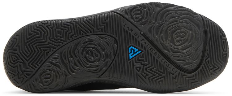 Nike Zoom Freak 1 GS Black