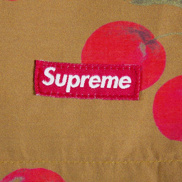 Supreme Nylon Water Short Brown