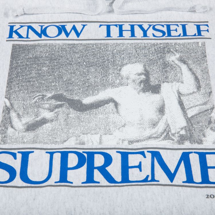 Supreme Know Thyself Hooded Sweatshirt Ash Grey