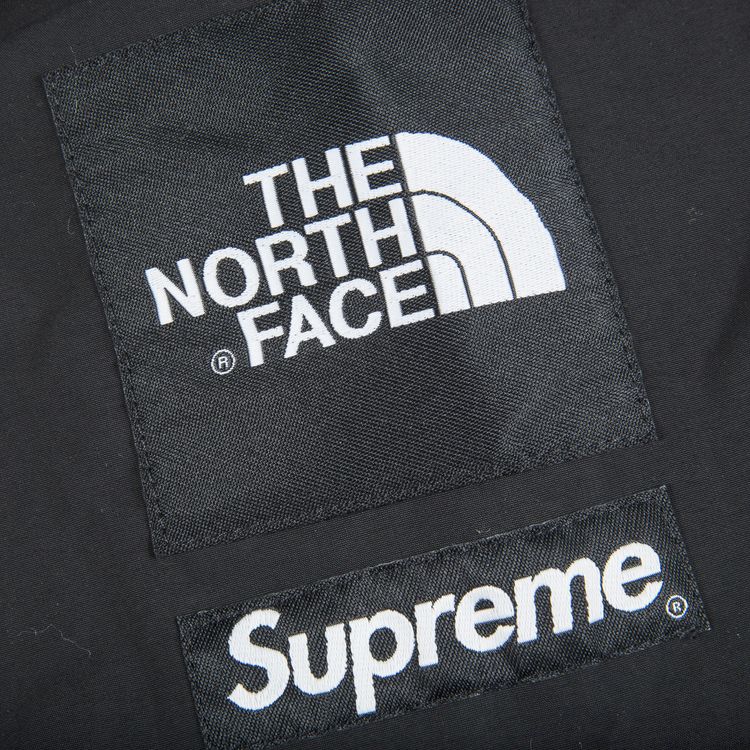Supreme x The North Face Mountain Light Jacket Leaves