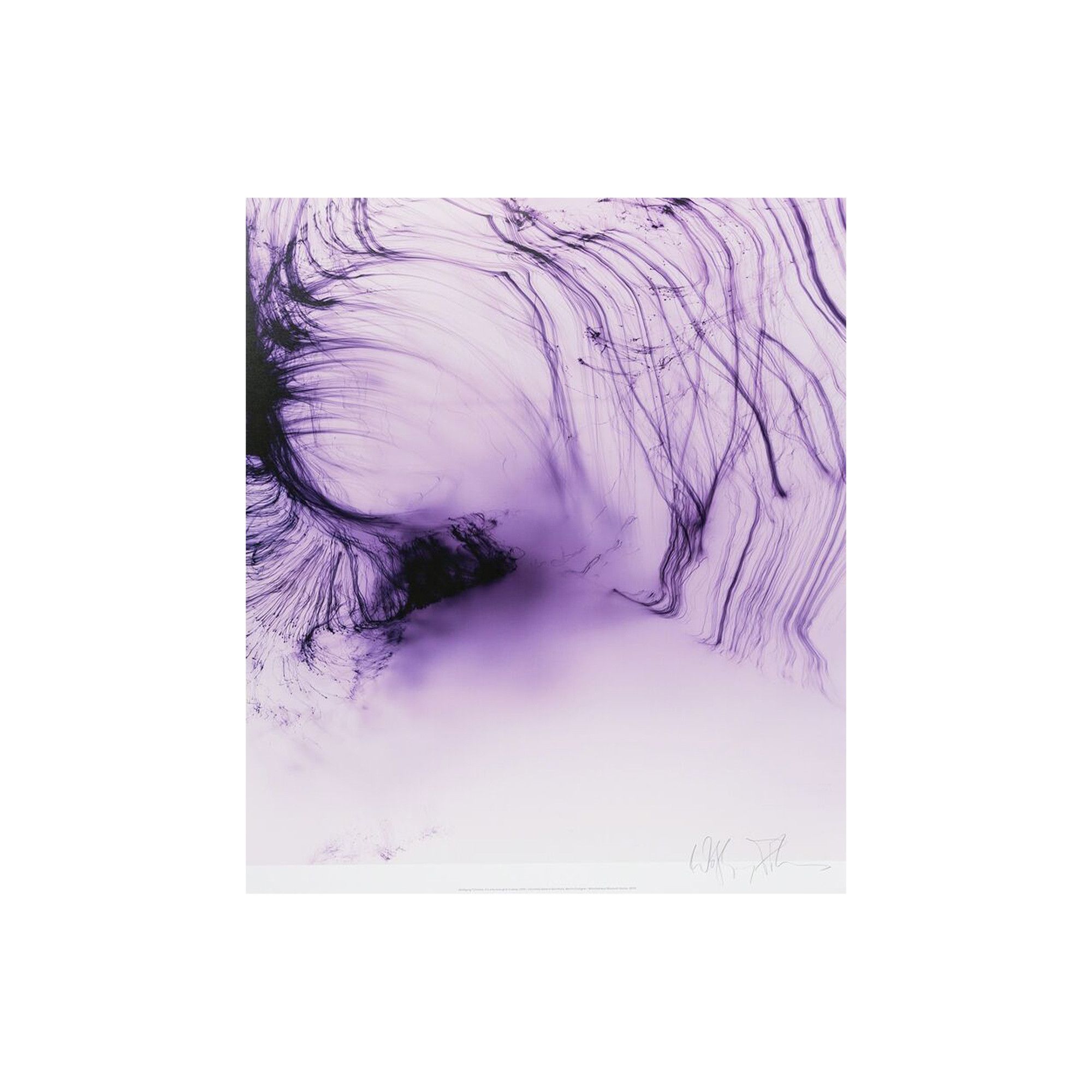 purple/wolfgang tillmans ティルマンス Wolfgang Tillmans | | Flash Art