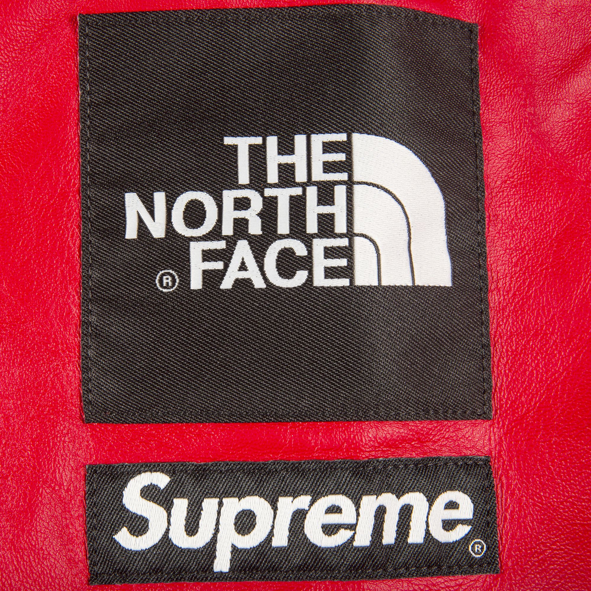 Buy Supreme x The North Face Leather Mountain Parka 'Red