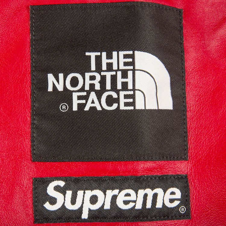 Supreme x The North Face Leather Mountain Parka Red