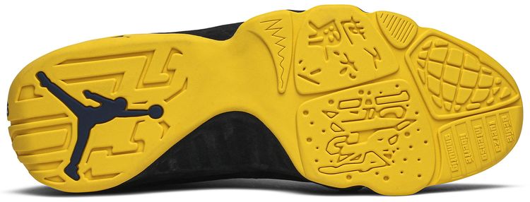 Air Jordan 9 Retro NRG Michigan Wolverines PE