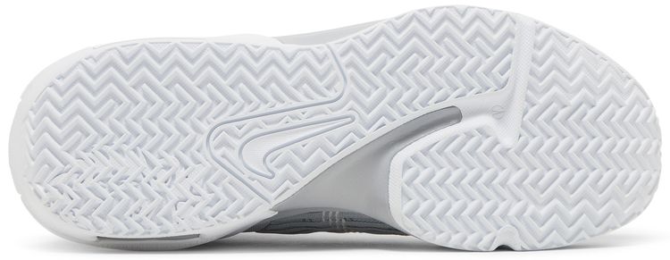LeBron Witness 6 TB Wolf Grey