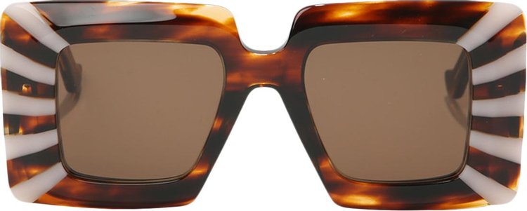 Loewe Square Sunglasses 'Havana/Brown'