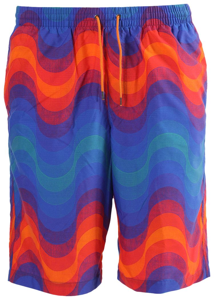 Dries Van Noten Phibbs Long Shorts Multicolor