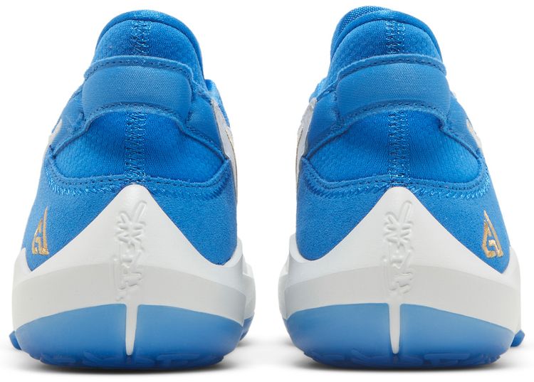 Nike Zoom Freak 2 SE GS Signal Blue