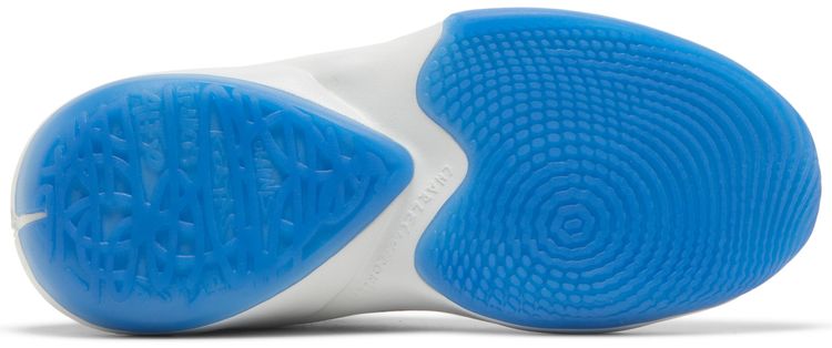 Nike Zoom Freak 2 SE GS Signal Blue