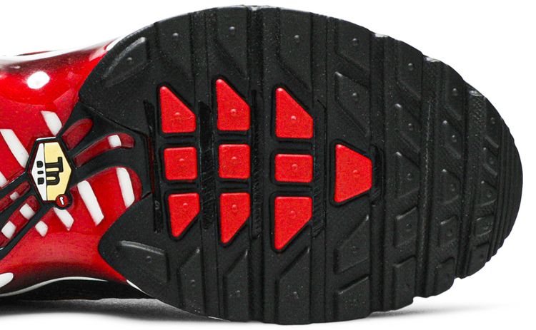 Nike Air Max Plus GS Bred