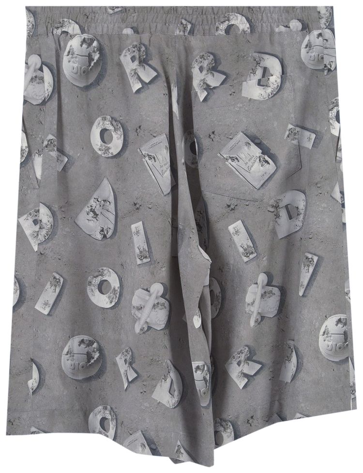 Dior Arsham Lunar Relic Shorts Grey