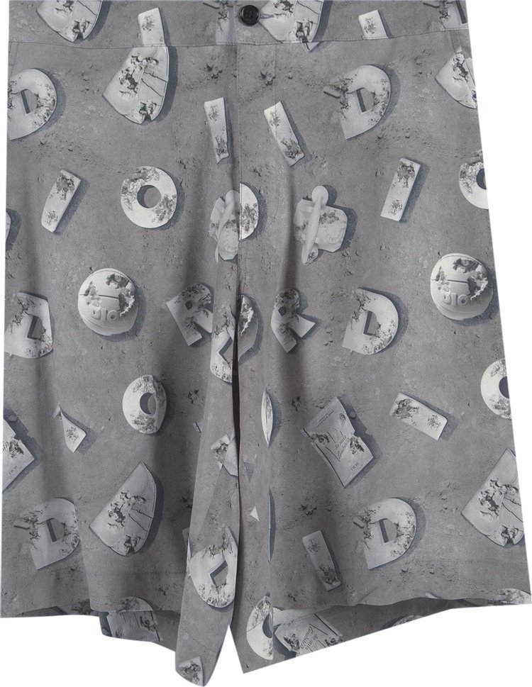 Dior Arsham Lunar Relic Shorts 'Grey'