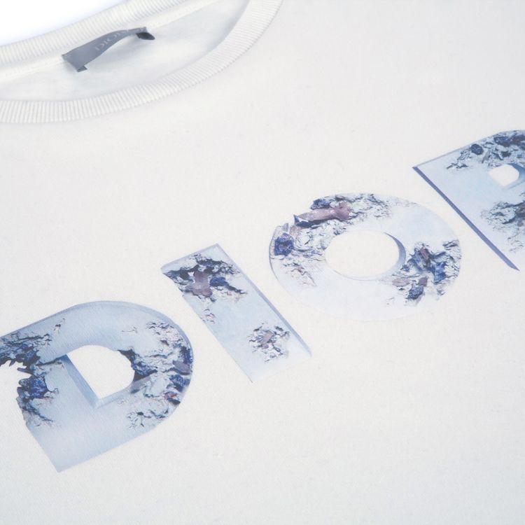 Dior Arsham Logo T Shirt White