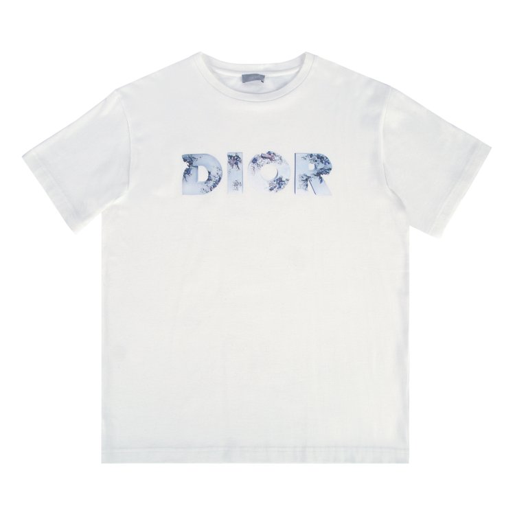 Dior Arsham Logo T-Shirt 'White'