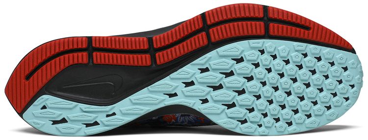 Nike Air Zoom Pegasus 36 Tokyo Running Pack
