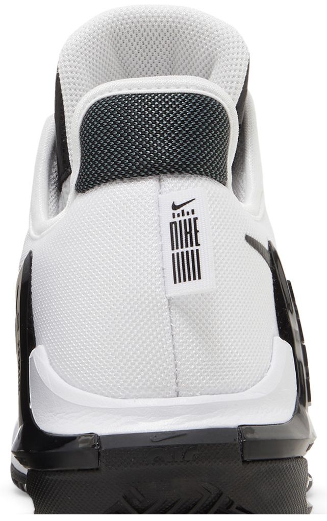 Nike LeBron Witness 6 TB White Black