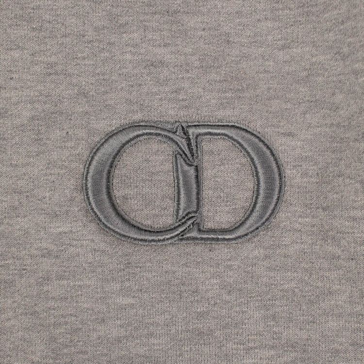 Dior CD Icon Logo Hooded Sweatshirt Gray