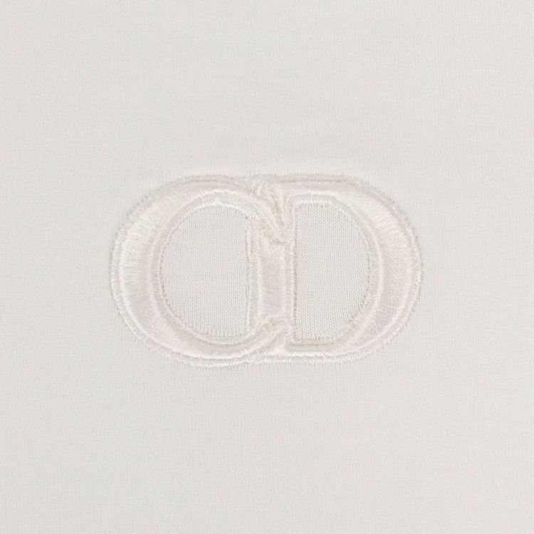 Dior CD Icon Short Sleeve T Shirt Gray