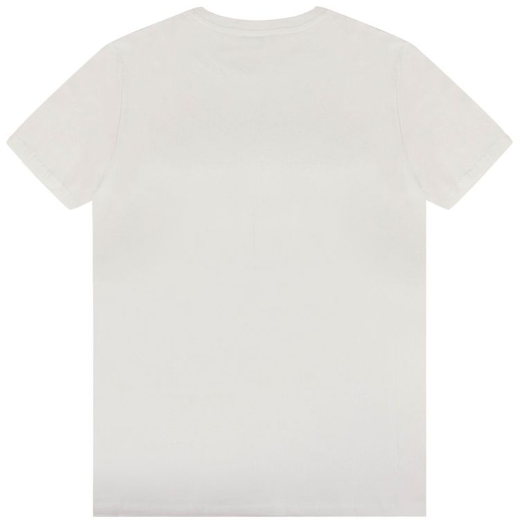 Dior CD Icon Short Sleeve T Shirt Gray