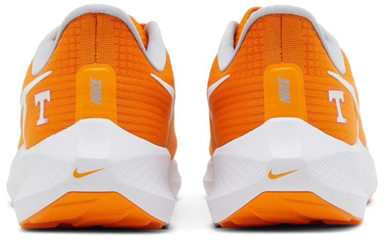 Nike Air Zoom Pegasus 39 Tennessee