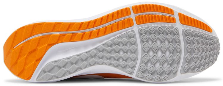 Nike Air Zoom Pegasus 39 Tennessee