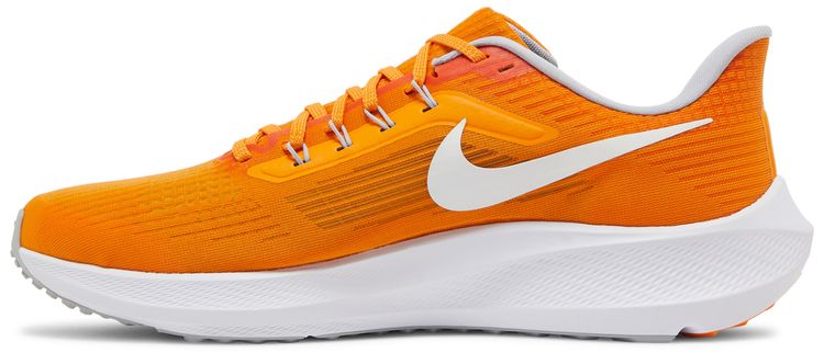 Nike Air Zoom Pegasus 39 Tennessee