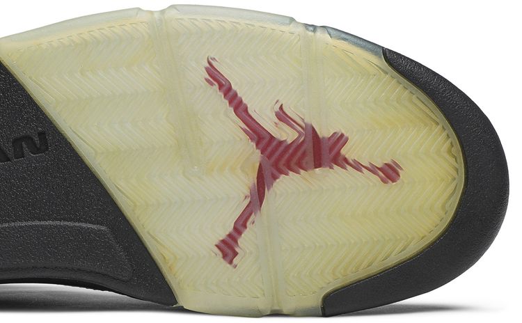 Air Jordan 5 Retro Premio Bin23