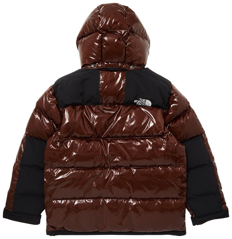 Supreme x The North Face 700 Fill Down Parka Brown