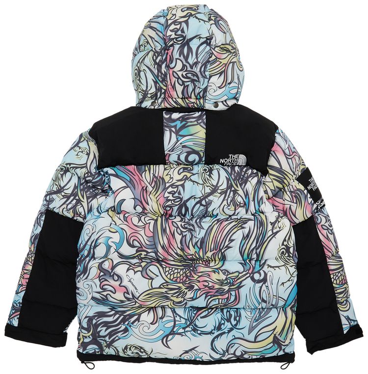 Supreme x The North Face 700 Fill Down Parka Multicolor Dragon