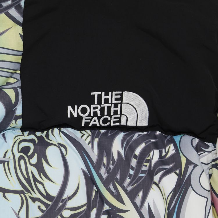 Supreme x The North Face 700 Fill Down Parka Multicolor Dragon