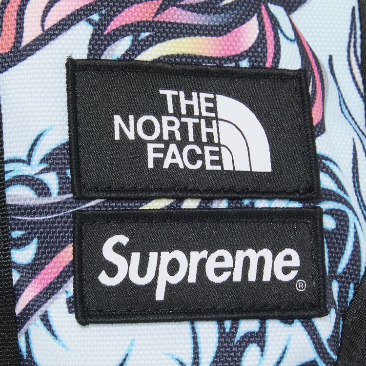 Supreme x The North Face Steep Tech Backpack Multicolor Dragon