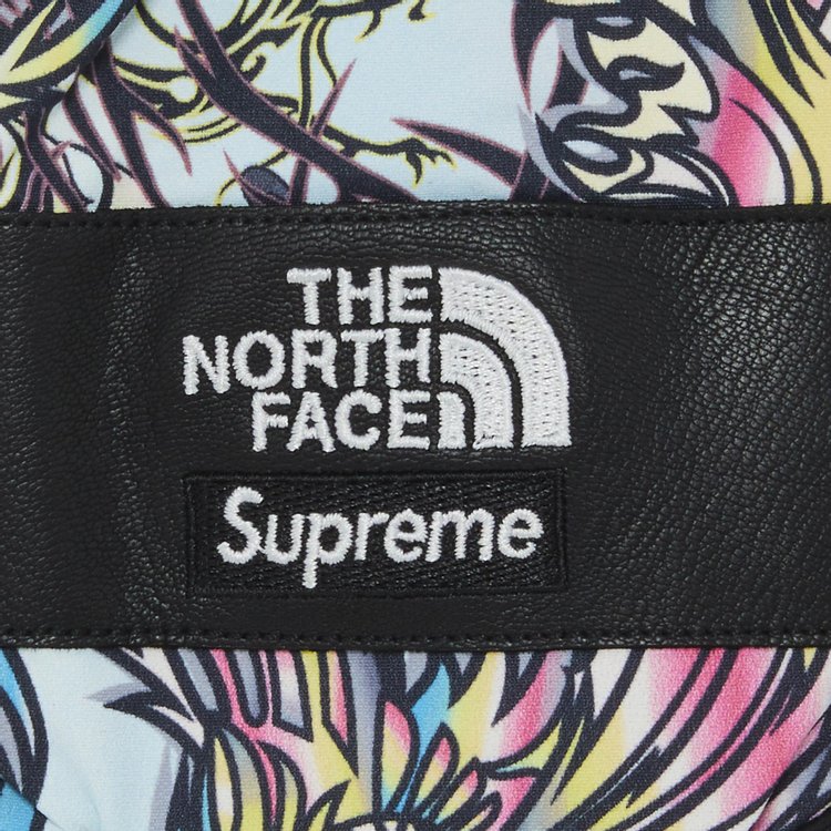 Supreme x The North Face Steep Tech Gloves Multicolor Dragon