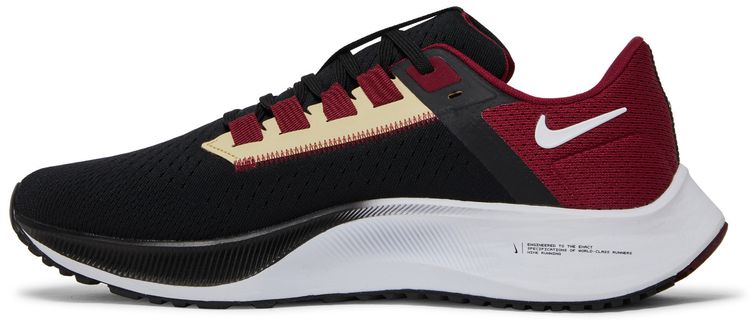 Nike Air Zoom Pegasus 38 Florida State