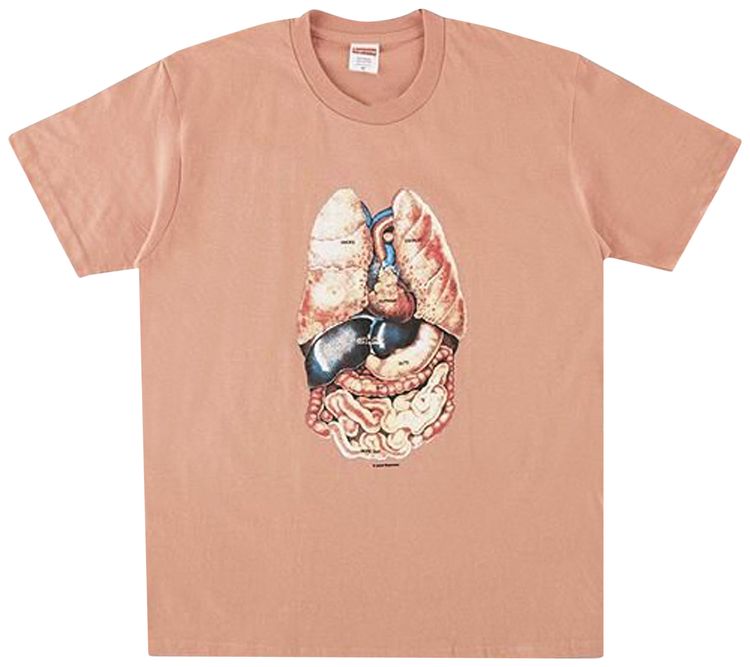 Supreme Guts Tee Terra Cotta
