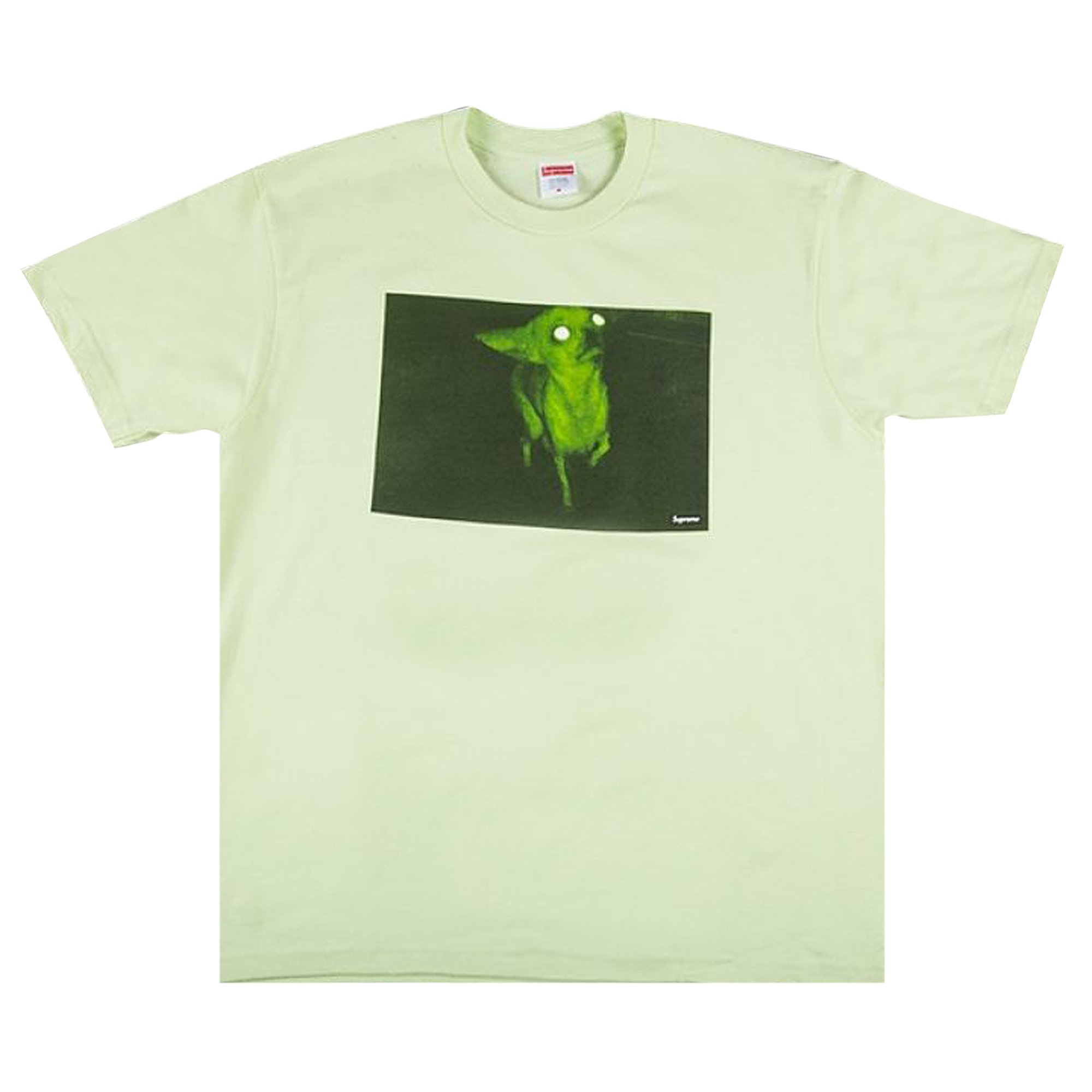 Buy Supreme Chris Cunningham Chihuahua Tee 'Pale Mint' - FW18T17