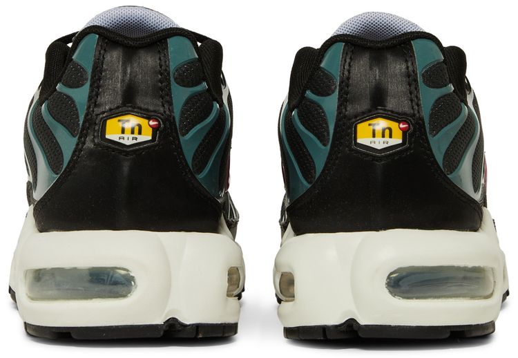 Nike Air Max Plus Anthracite Hasta