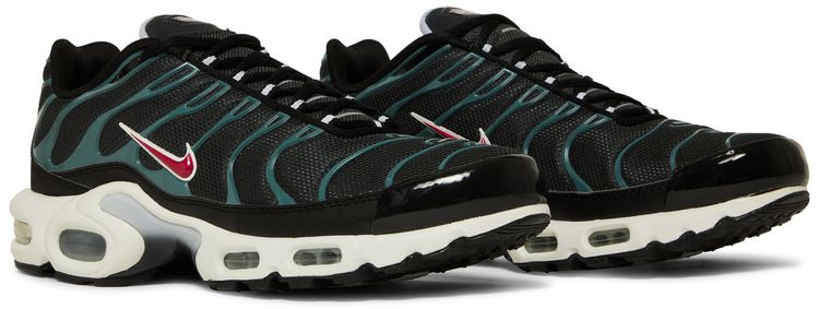 Nike Air Max Plus Anthracite Hasta