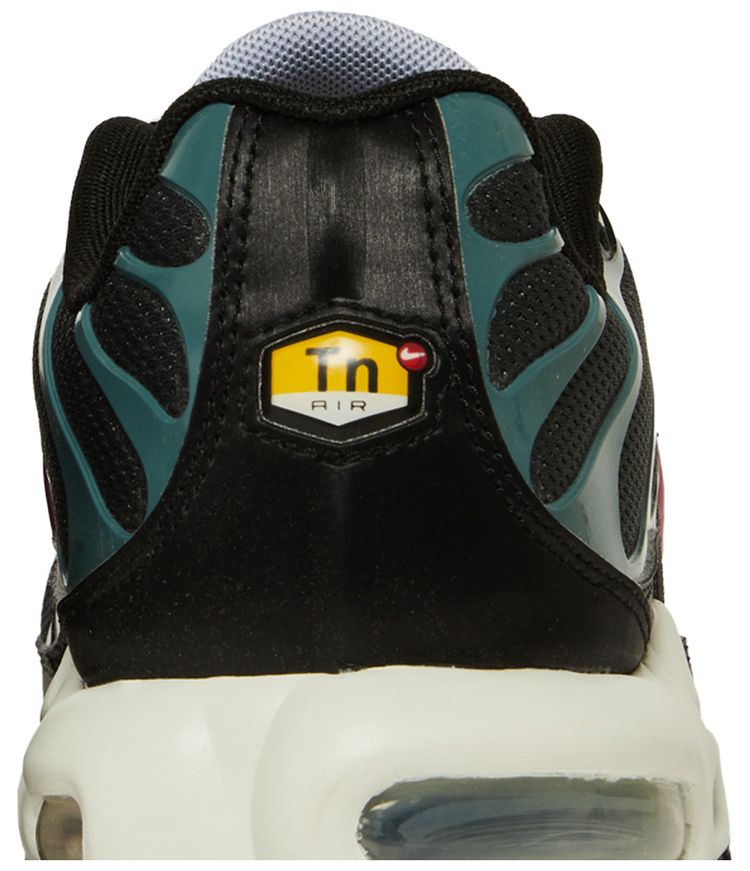 Nike Air Max Plus Anthracite Hasta