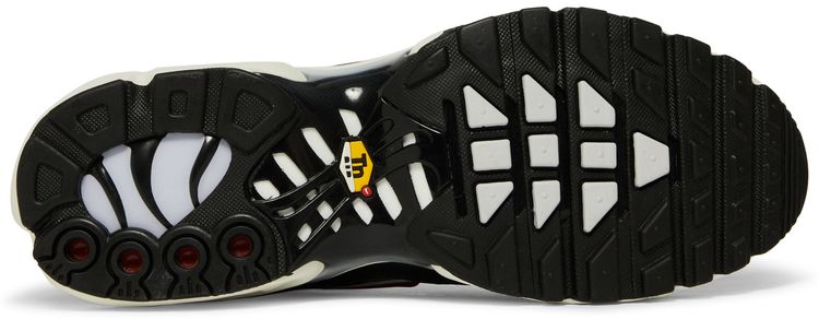 Nike Air Max Plus Anthracite Hasta