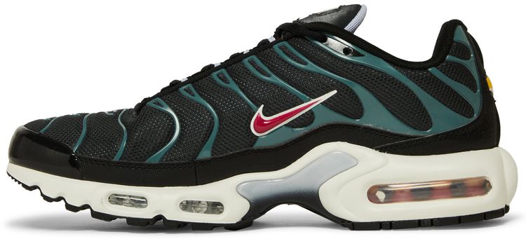 Nike Air Max Plus Anthracite Hasta