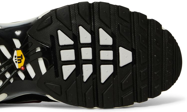 Nike Air Max Plus Anthracite Hasta