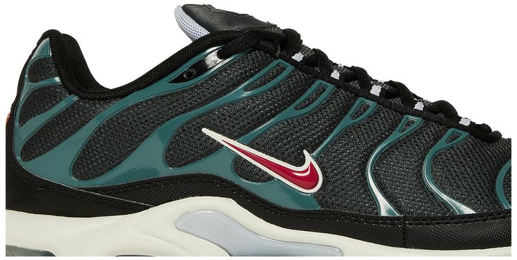 Nike Air Max Plus Anthracite Hasta