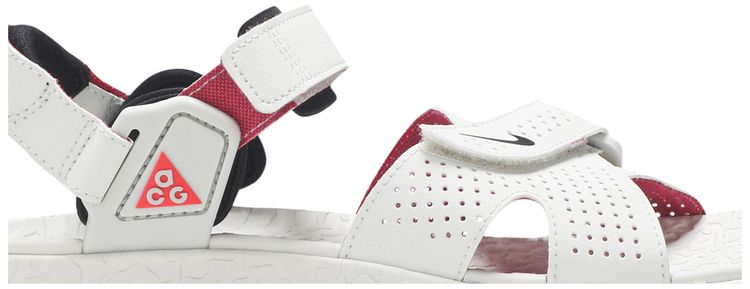 Nike ACG Air Deschutz Spruce