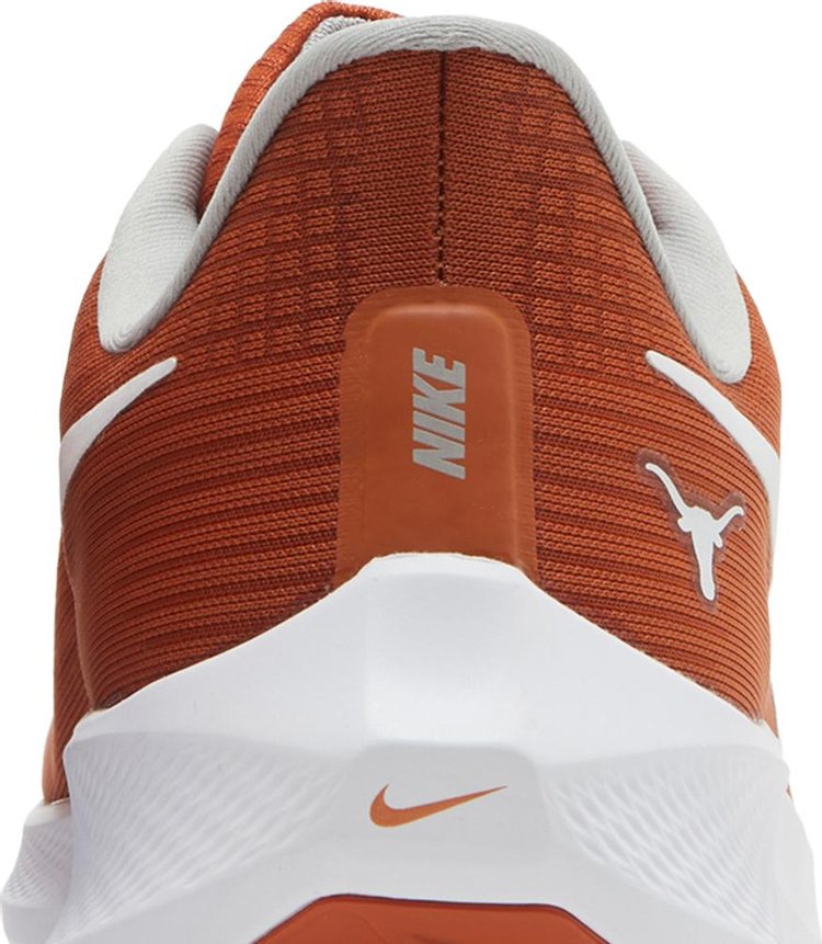 Air Zoom Pegasus 39 Texas