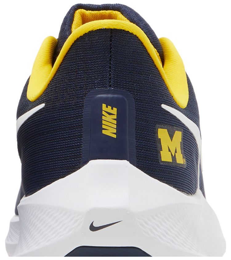 Air Zoom Pegasus 39 Michigan