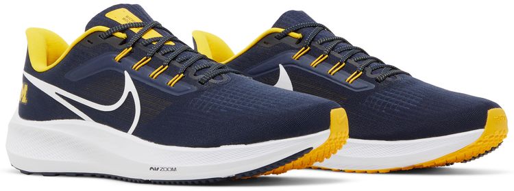 Air Zoom Pegasus 39 Michigan