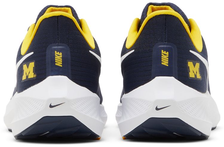 Air Zoom Pegasus 39 Michigan